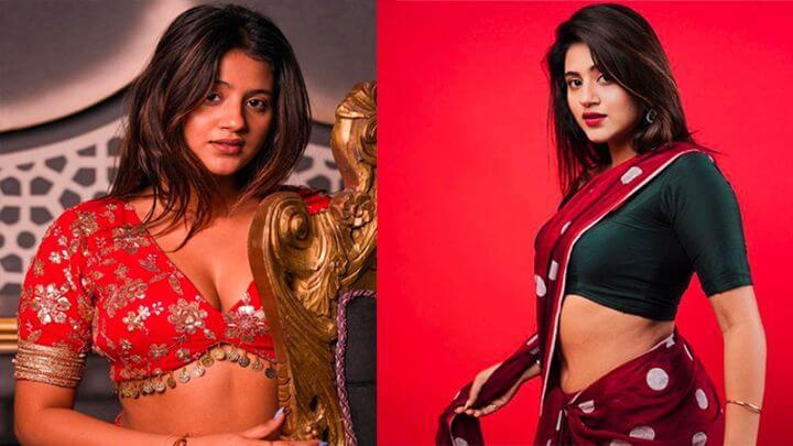 কাঁচা-বাদাম-কন্যা-অঞ্জলি-ফের-তোপের-মুখে-পোশাক-নিয়ে